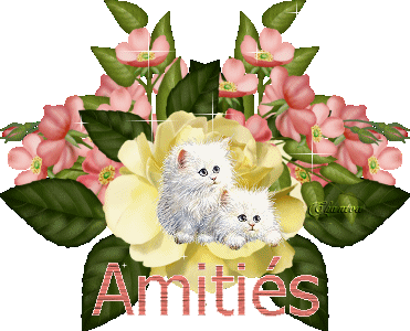 amiti�s