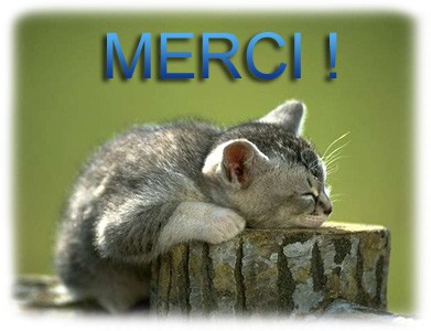 MERCI