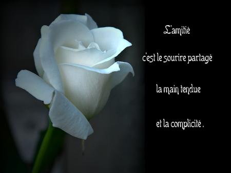 Une simple amiti�